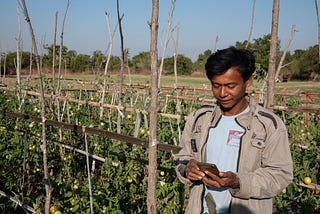 The Facebook Farmers: How Social Media is Modernizing Agriculture in a Tech-Starved Myanmar Village