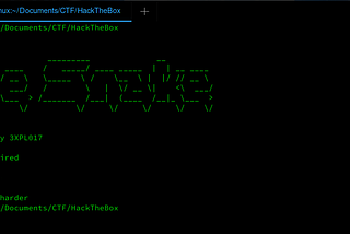 Snake [Hack The Box :: Reversing Challenge] PT-BR