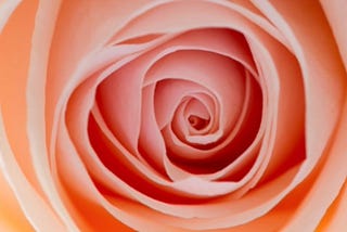 In the Sphere of Arabian Love!