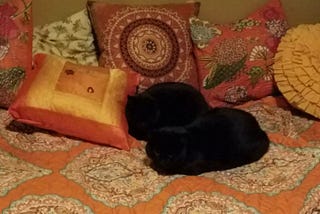 A Mump Dream