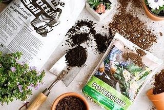 Top 6 Potting Mix/ Potting Soil recipes, with and without soil