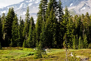 Exploring California’s Lonely Mountain