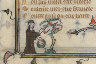 A 14th century image of a nun harvesting penises from a tree.