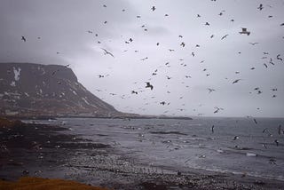 Under The Weather: High Gales & Wild Waves In Snæfellsnes