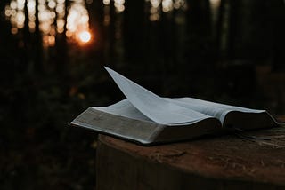 A Bible on a stump with the sun in the background