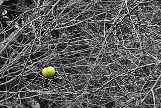 Self-Abandonment: The Quiet Tragedy of a Life Not Lived