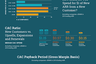 2017 SaaS Survey Infographic