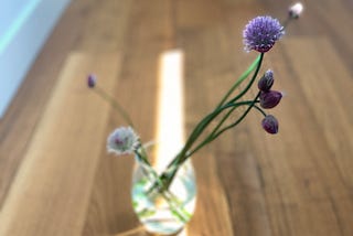 A glass with cut chive flower stems of different length at different stages of blooming. Stems are stretching towards sunlight.