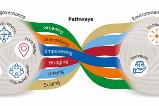 Unlocking Urban Justice: Can Mosaic Governance Cultivate Green Equity in Marginalized Communities?