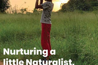 Nurturing a little Naturalist