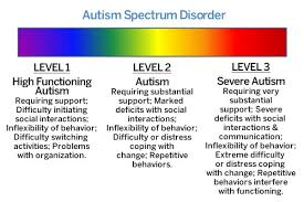Autism Spectrum Disorder: Key Facts