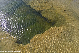 What Is The Natural Florida Landscape?