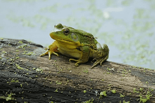 Kermit KMP Logging 1.0