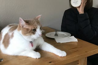 The Week I Went Quiet (Mostly)