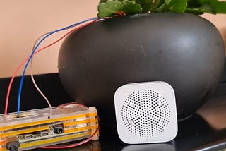 The Pot-Bot: Using AI and IoT to Make Your Plants Talk Back!