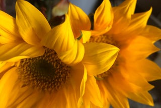 When The Good Gets Better