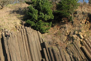 The Myth of Balance in Nature