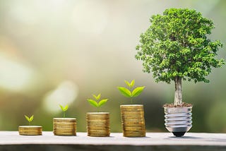 Plants growing on coins — an illustration of the investment