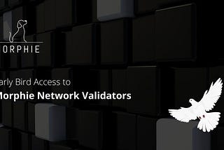 Early Access to Morphie Network Validator program