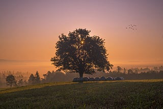 “Waking Up from the Dreamt-Up Life”