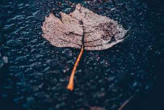 Droplets of Life