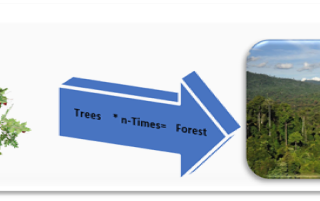 Random Forest and it’s Parameters