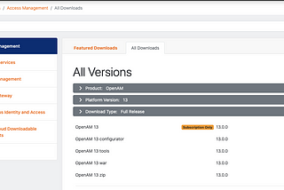 OpenAM integration with WSO2 APIM 3.2.0 as 3rd Party Key Manager