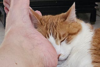The Kings of Sleep