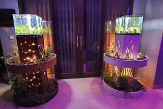 Discover the Ultimate Indoor Garden: Sustainable Aquaponics and Beautiful Decor