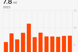 Learnings From An All-Day Fasting & 8-Mile Walking Year.