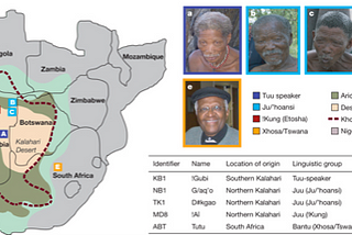 Genetic diversity in South Africa