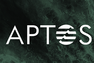 Analysis of the First Critical 0-Day Vulnerability of Aptos Move VM