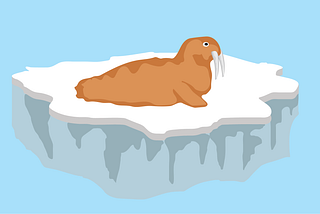 Designing for Walruses