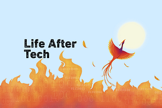What Happened to Tech Jobs? What Will You Do Next?