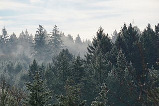 Children of the Trees