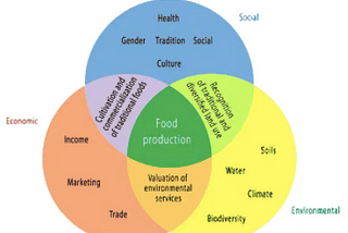 Food Sovereignty, Agroecology, and Exploring the Role of a White-Led Non-Profit