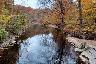 A swimable creek