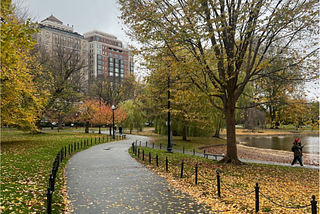 Bridging Stories: An English Teacher’s Reflection on Inspiration and Discovery at NCSS