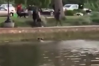 Man dies after swimming in Lake Merritt, Oakland