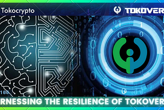 3 Reasons Why Tokoverse is a Highly Resilient Crypto Ecosystem