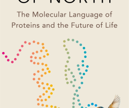 Proteins are providing answers to questions we are only coming around to now