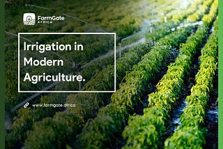 Irrigation in Modern Agriculture
