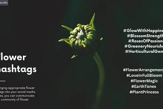 Flower Hashtags # For Instagram Are Too Good [2023] — Youtube