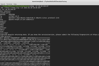 NMAP scan of the server