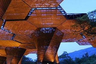 The Orquideorama is an organically expanding wooden meshwork of modular “flower-tree” structures…