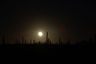 Agua en el Desierto