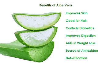 eldena melkfett aloe vera ALODERMA Fresh Aloe Vera Skin Hydrator main image 0