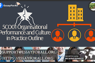 5CO01 Organisational Performance and Culture in Practice Outline: Essay For All