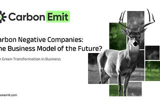Carbon Negative Companies: The Business Model of the Future?