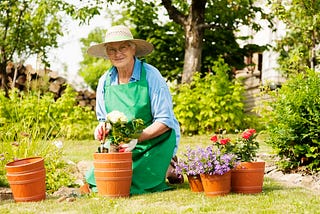 Gardening Tips For Senior Citizens